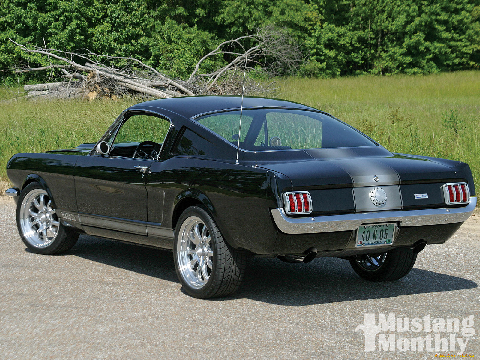, mustang